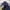 Adidas Sportswear Puffer jacket Pria navy photo 6