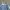 Tommy Hilfiger Indie Casual Casual shirt Pria white blue photo 4