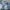 Tommy Hilfiger Indie Casual Casual shirt Pria white blue photo 5