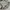 Adidas Casual Track jacket Pria tan cream photo 3