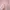 Nike pink fit body jacket photo 4