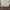 Acne Studios Streetwear Luxury Sweatshirt Pria white photo 4