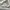 Acne Studios Streetwear Luxury Sweatshirt Pria white photo 5