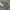 WHO.A.U Streetwear Skater Sweatshirt Pria gray photo 4