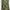 Diesel Streetwear Y2K Hoody Pria green photo 5