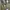 Diesel Streetwear Y2K Hoody Pria green photo 6