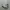 new balance 1906 photo 1