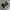 NewBalance 480v5 Black White photo 3