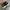 NewBalance 480v5 Black White photo 5