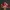 Adidas Indie Casual Sneakers Pria red cream photo 1