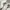 ZARA Vintage Coquette Shirt Wanita white photo 2