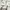 ZARA Vintage Coquette Shirt Wanita white photo 6