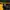 Adidas Y2K Sportswear Pria black yellow photo 5