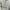 Streetwear Sportswear Bomber jacket Wanita white black photo 2