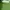 Sportswear Minimalist Hoody Pria green photo 2