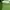 Sportswear Minimalist Hoody Pria Green