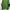 Sportswear Minimalist Hoody Pria green photo 1