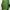 Sportswear Minimalist Hoody Pria Green