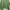 Sportswear Minimalist Hoody Pria green photo 3
