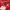 Converse Sportswear Track jacket Pria red photo 3