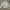 Timberland Indie Casual Casual shirt Pria multicolor photo 2