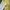 Minimalist Casual Blouse Wanita white yellow photo 3
