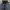 Oakley Vintage Y2K Sunglass Pria black photo 3