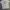 Under Armour Sportswear Casual T-shirt Pria gray photo 1