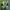 Nike Air Jordan 1 Elevate sneakers  photo 4