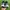 Skechers Run Sneakers  photo 5
