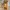 Obermain Casual Crossbody Bag Wanita yellow photo 4