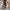 DINGO Western/Cowboy Boots  photo 5
