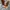 DINGO Western/Cowboy Boots  photo 4