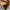 DINGO Western/Cowboy Boots  photo 7