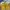 Casual Sneakers Pria yellow photo 2