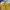 Casual Sneakers Pria Yellow