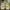 Casual Sneakers Pria yellow photo 3