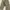 Casual Formal Pants Pria Tan