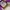 Vans Authentic OG 44 DX Anaheim Purple White photo 7