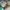 Vans Authentic OG 44 DX Anaheim Green White photo 7