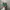 Vans Authentic OG 44 DX Anaheim Green White photo 4