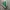 Vans Authentic OG 44 DX Anaheim Green White photo 1