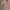Vintage Again Homme Shirts photo 3