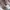 Hoka Mafate Speed 2 x Moncler photo 2