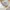 Japanese brand Casual Polo shirt Pria white photo 5