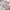 Revesible bolak balik jacket anak New Balance pink putih photo 2