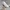 [Termurah] Sneakers - Nike P6000 Full White
