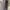 ceraplum somethinc photo 1