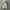 Armani Exchange Assymetrical Zipper Fur Jacket photo 7