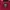 Thrasher Streetwear Skater T-shirt Pria burgundy photo 5
